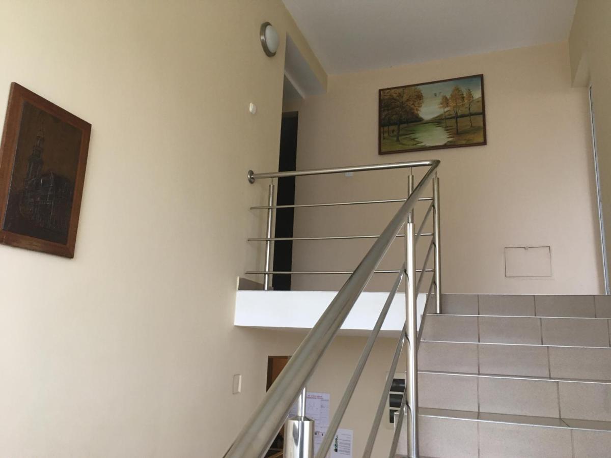 Pensiunea Brigi Satu Mare Ngoại thất bức ảnh