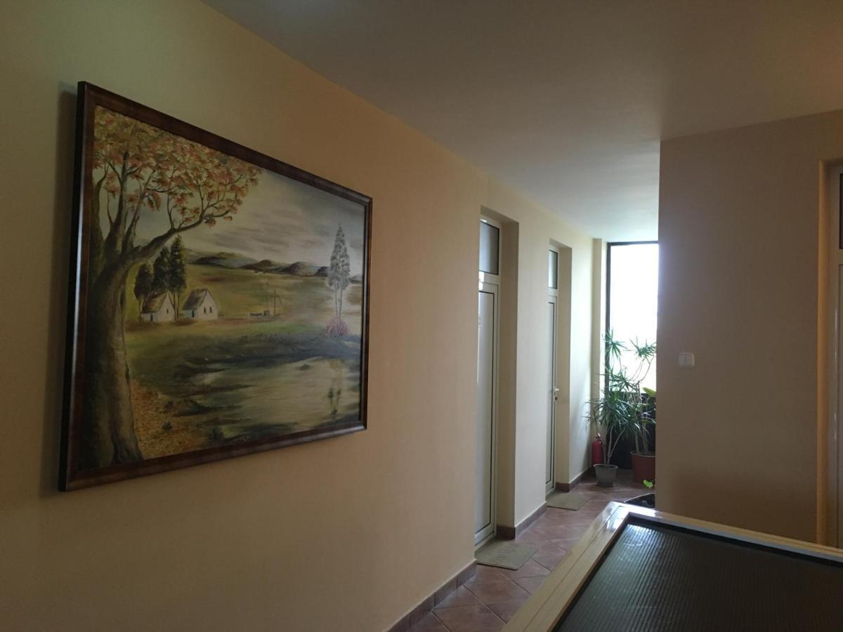 Pensiunea Brigi Satu Mare Ngoại thất bức ảnh